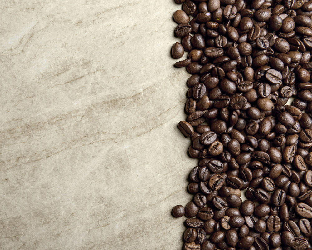 CALACATTA LIGHT MATT 60x120